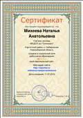сертификат о создании  сайта на nsportal